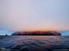 Tapeta National Geographic 508.jpg